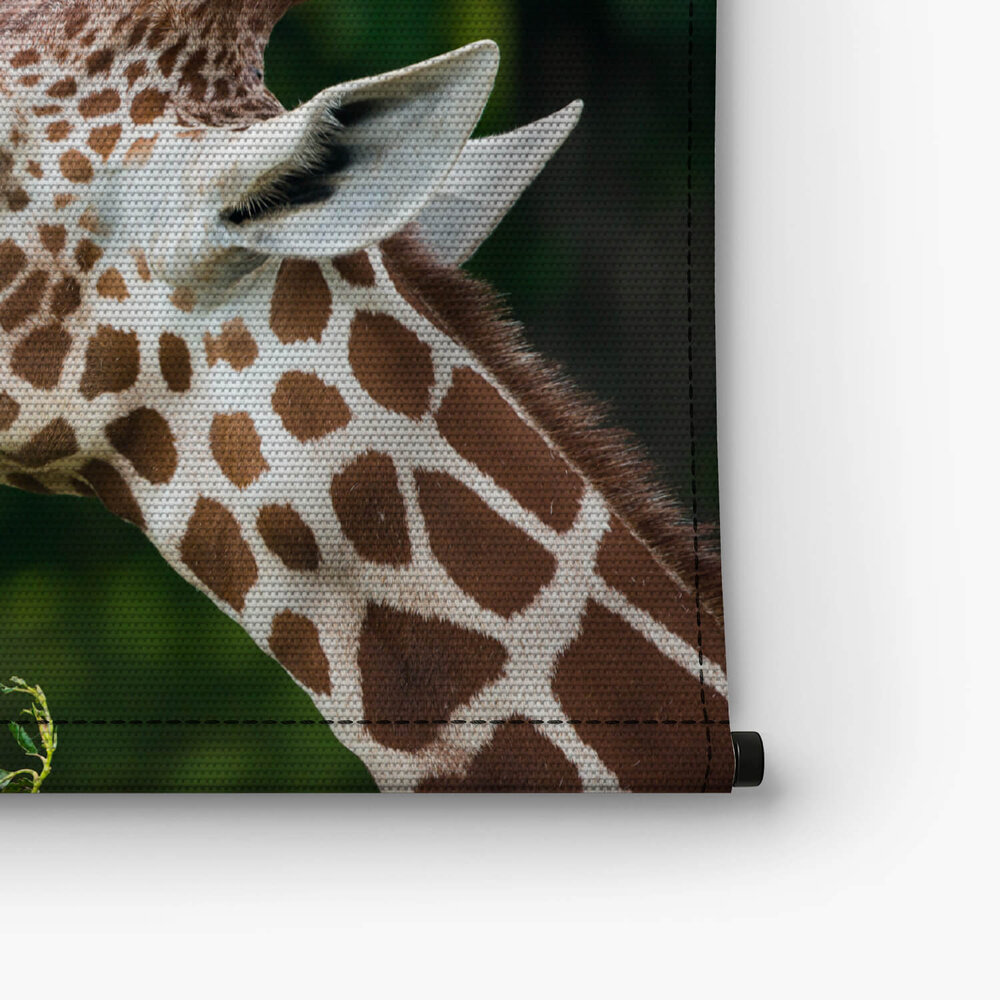 Elegante etende giraffe