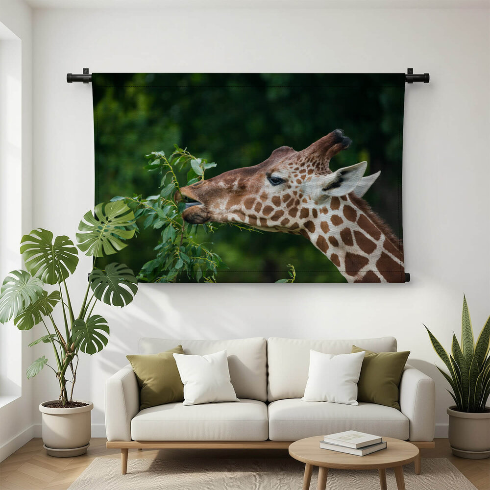 Elegante etende giraffe