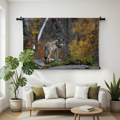 Wolf in het bos