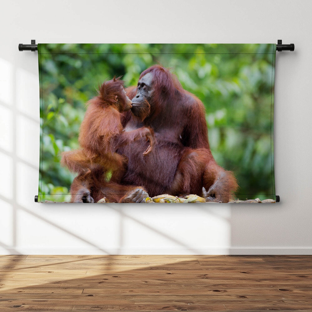 Orang-oetan moederliefde