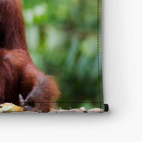 Orang-oetan moederliefde