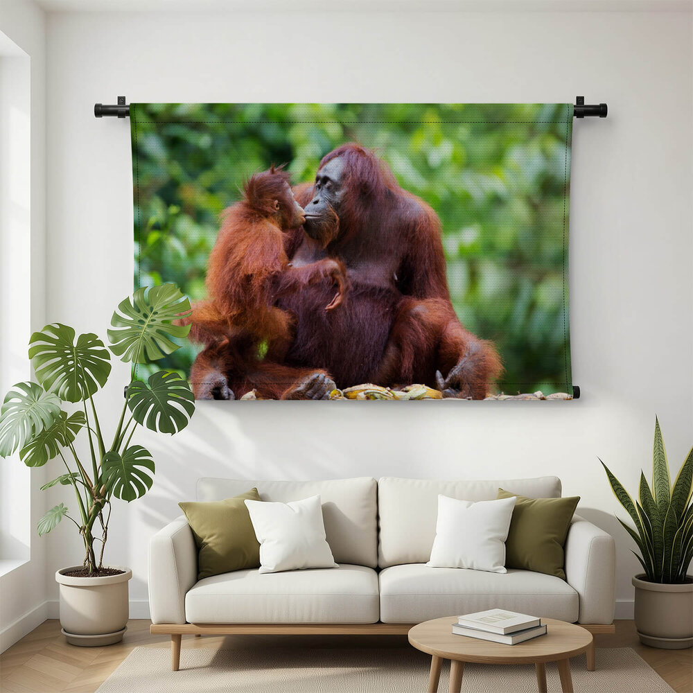 Orang-oetan moederliefde