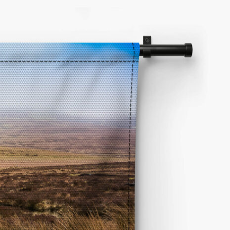 Schotse hooglander in het veld kijkend naar de camera