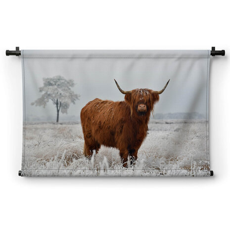 Wollige Schotse hooglander in de winterse wei