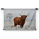 Wollige Schotse hooglander in de winterse wei