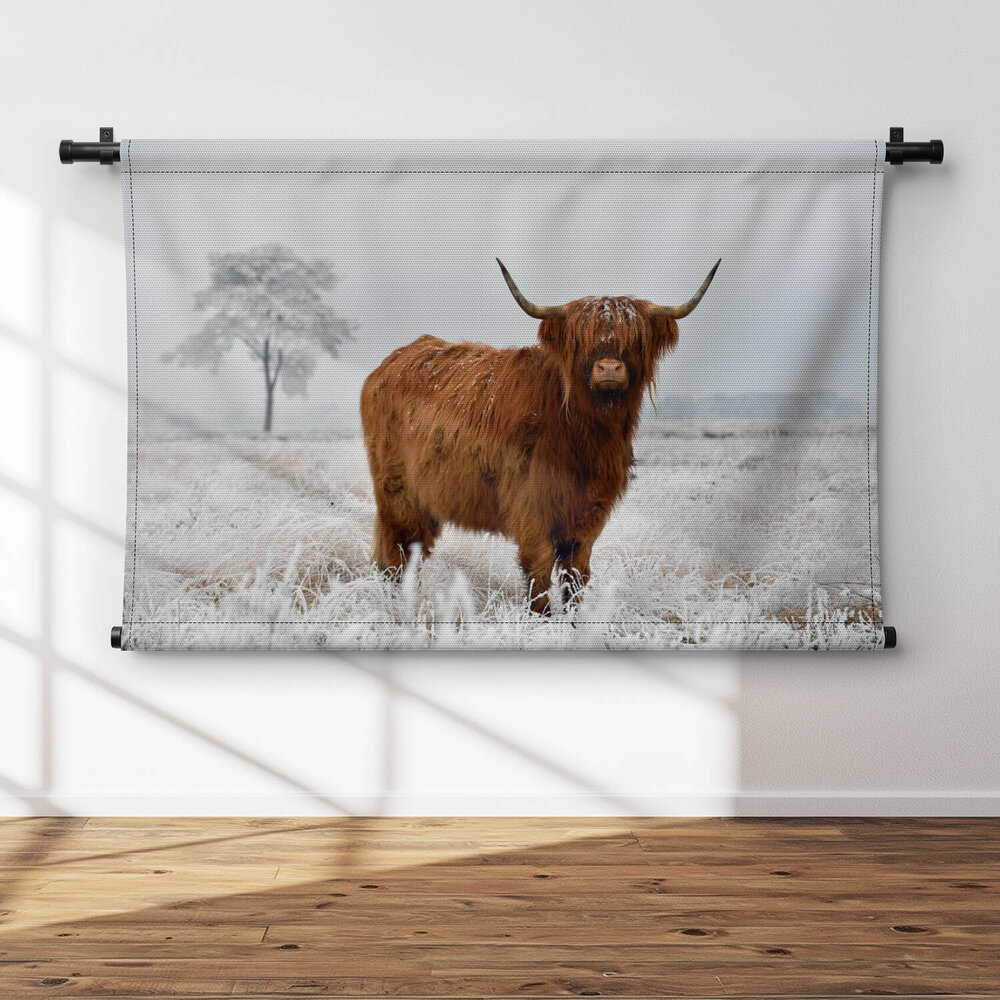 Wollige Schotse hooglander in de winterse wei