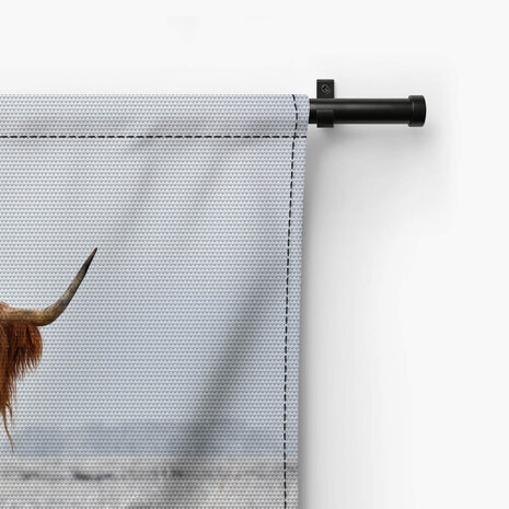 Wollige Schotse hooglander in de winterse wei