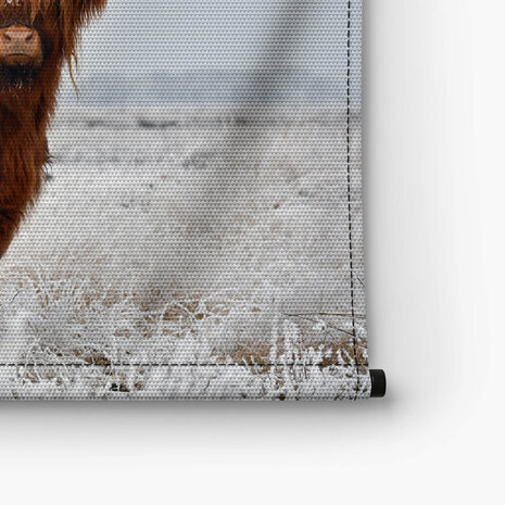 Wollige Schotse hooglander in de winterse wei