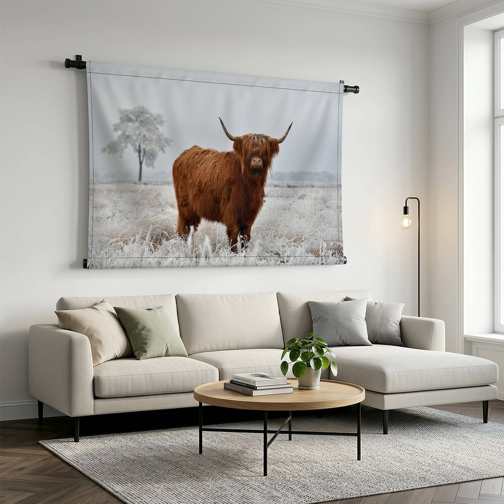 Wollige Schotse hooglander in de winterse wei