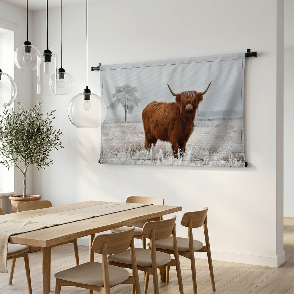 Wollige Schotse hooglander in de winterse wei