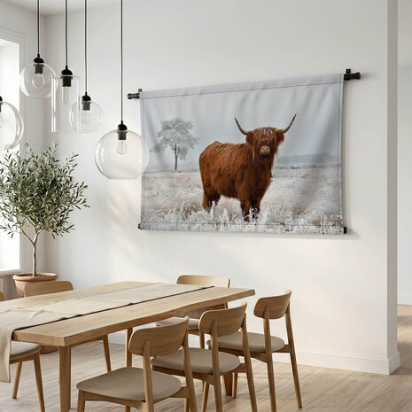Wollige Schotse hooglander in de winterse wei