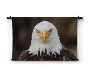 Amerikaanse adelaarskop