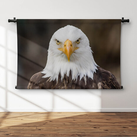 Amerikaanse adelaarskop