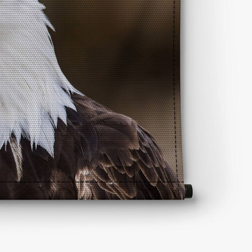 Amerikaanse adelaarskop