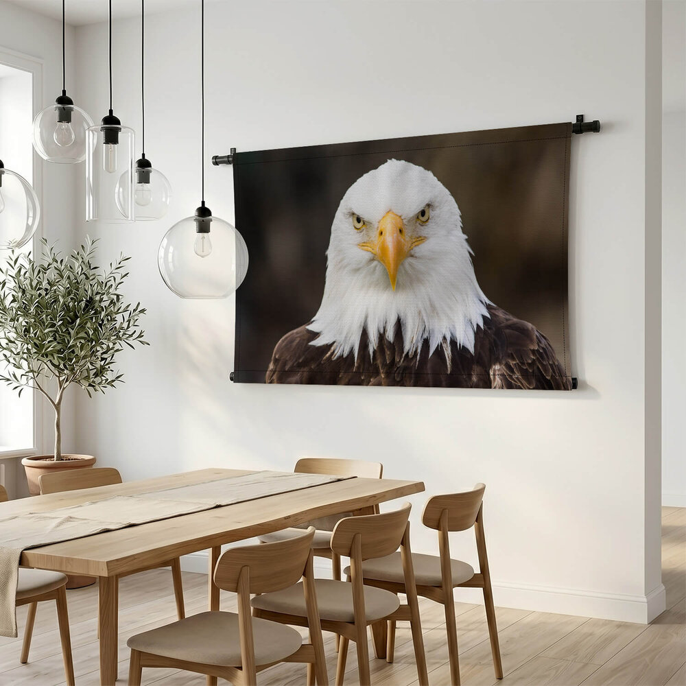 Amerikaanse adelaarskop