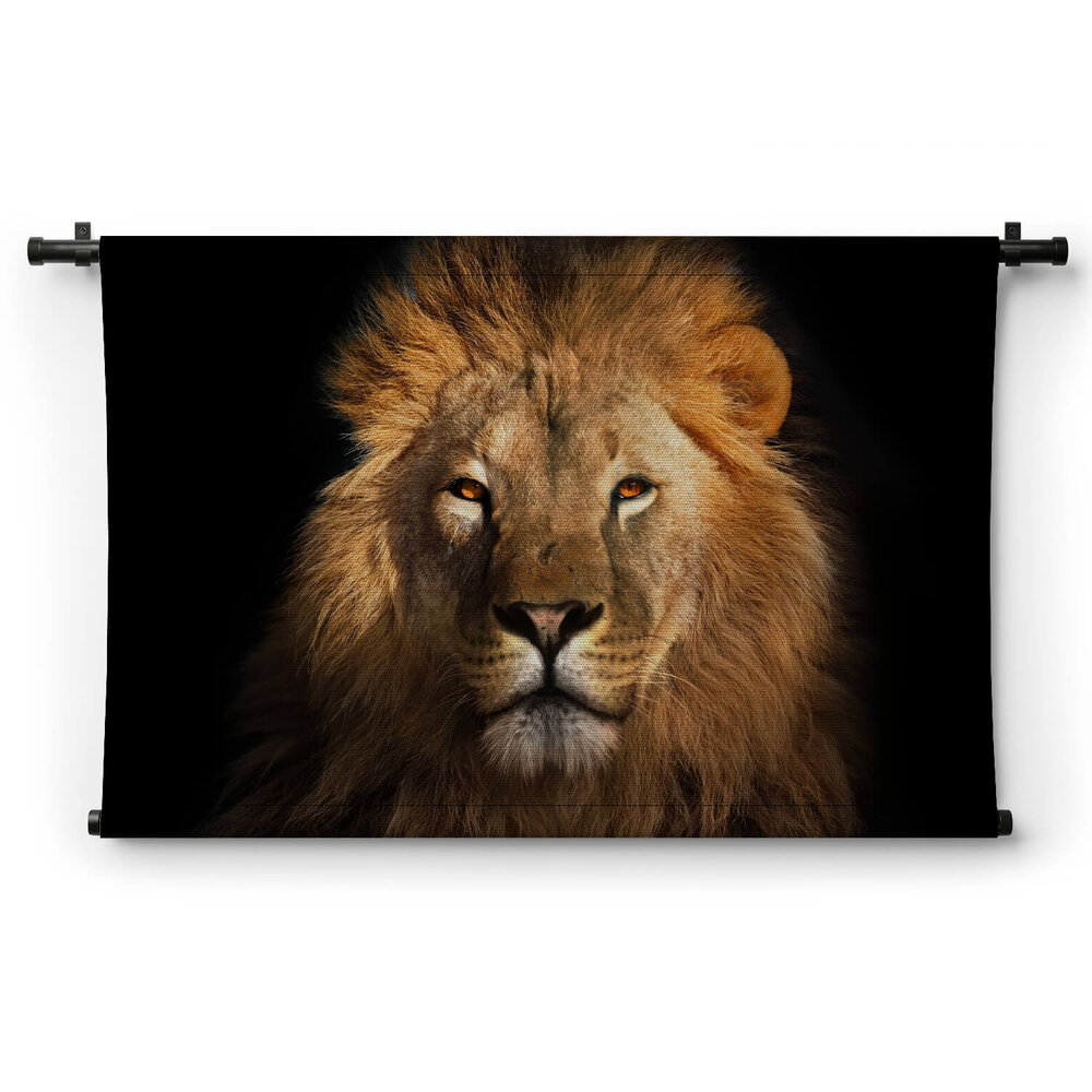 Leeuw bekend als koning der dieren