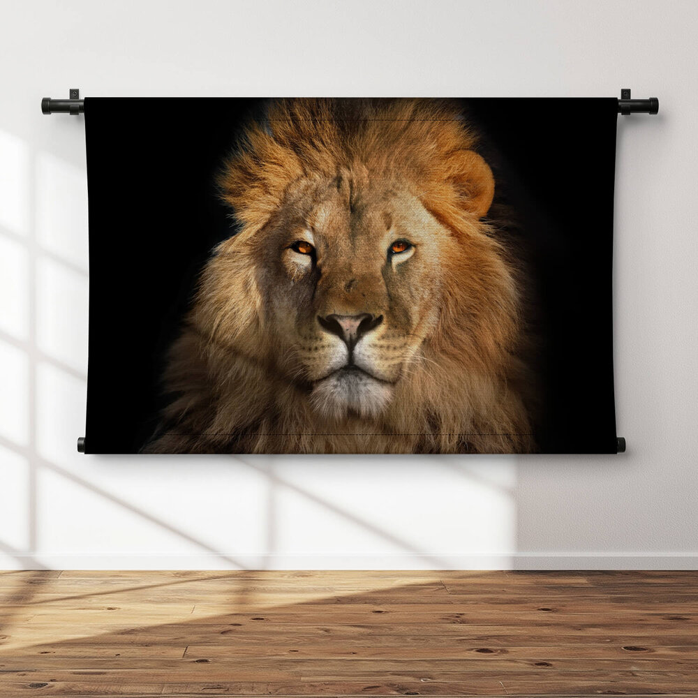 Leeuw bekend als koning der dieren