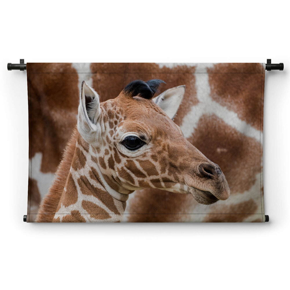 Baby giraffe bij de moeder