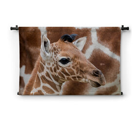 Baby giraffe bij de moeder