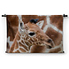 Baby giraffe bij de moeder