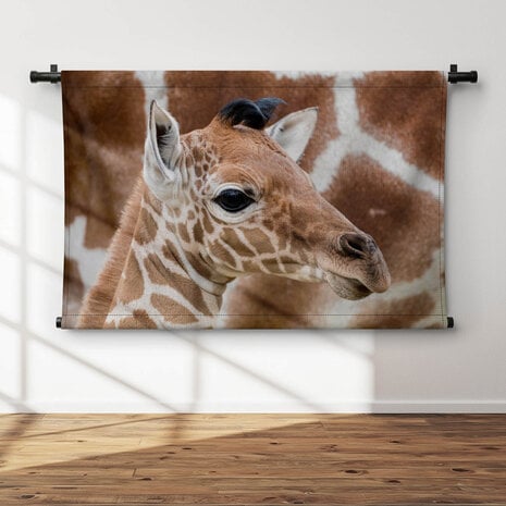 Baby giraffe bij de moeder