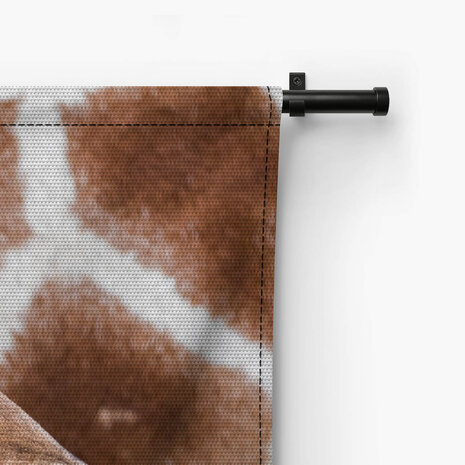 Baby giraffe bij de moeder