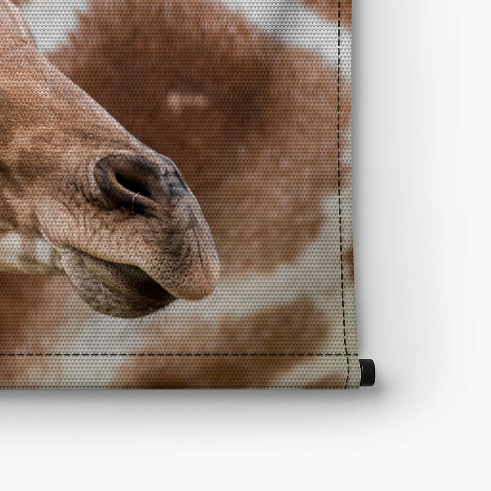 Baby giraffe bij de moeder