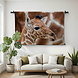 Baby giraffe bij de moeder
