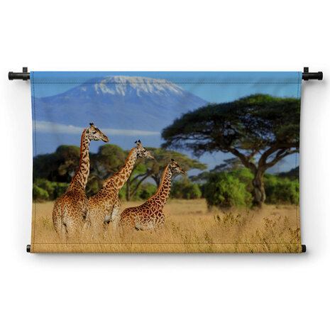 Drie giraffen bij de Kilimanjaro berg