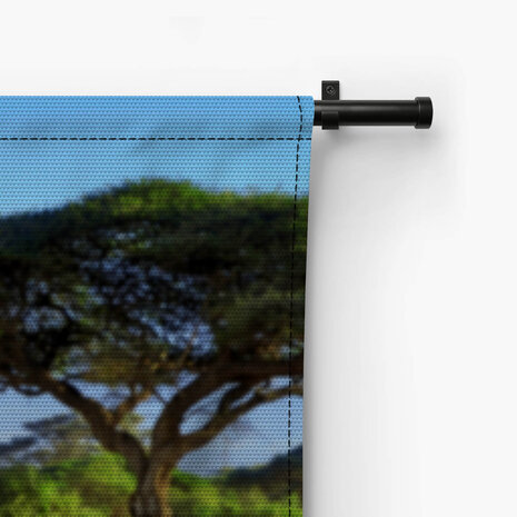 Drie giraffen bij de Kilimanjaro berg