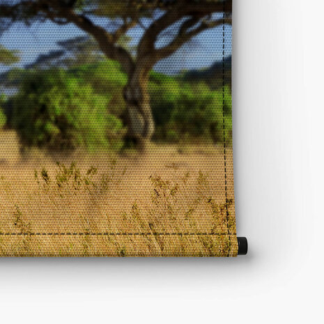 Drie giraffen bij de Kilimanjaro berg