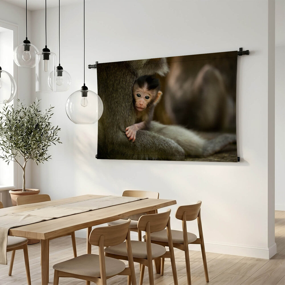 Kleine nieuwsgierige makaak in moeders armen