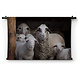 Schapen in de stal