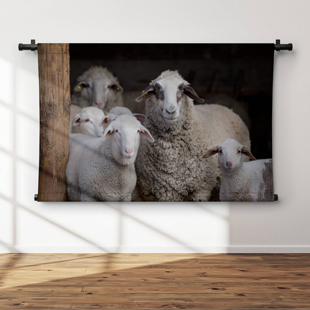 Schapen in de stal