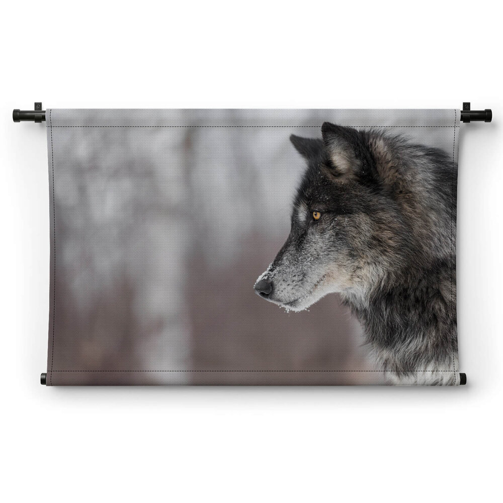 Portret wolf van opzij