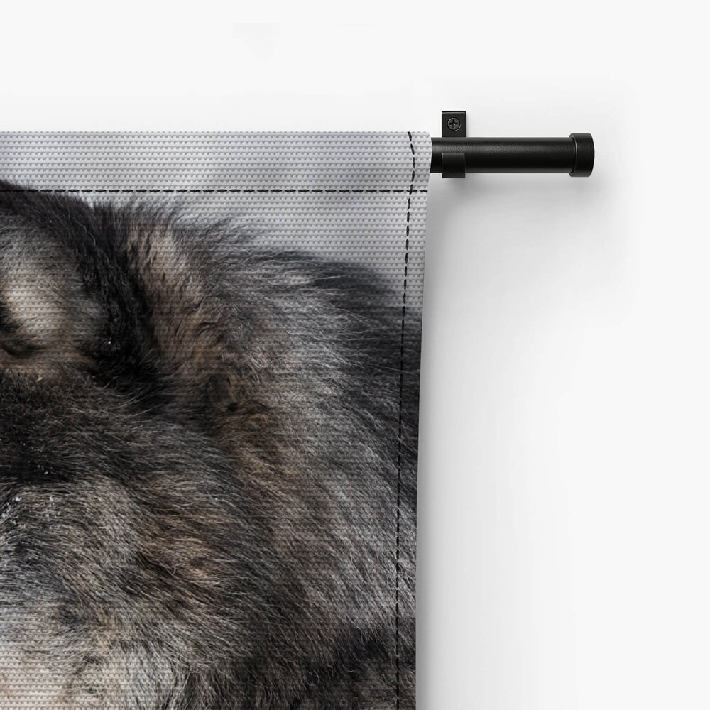 Portret wolf van opzij