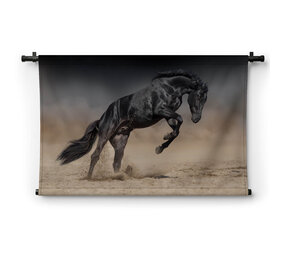 Steigerend zwart paard