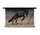 Steigerend zwart paard