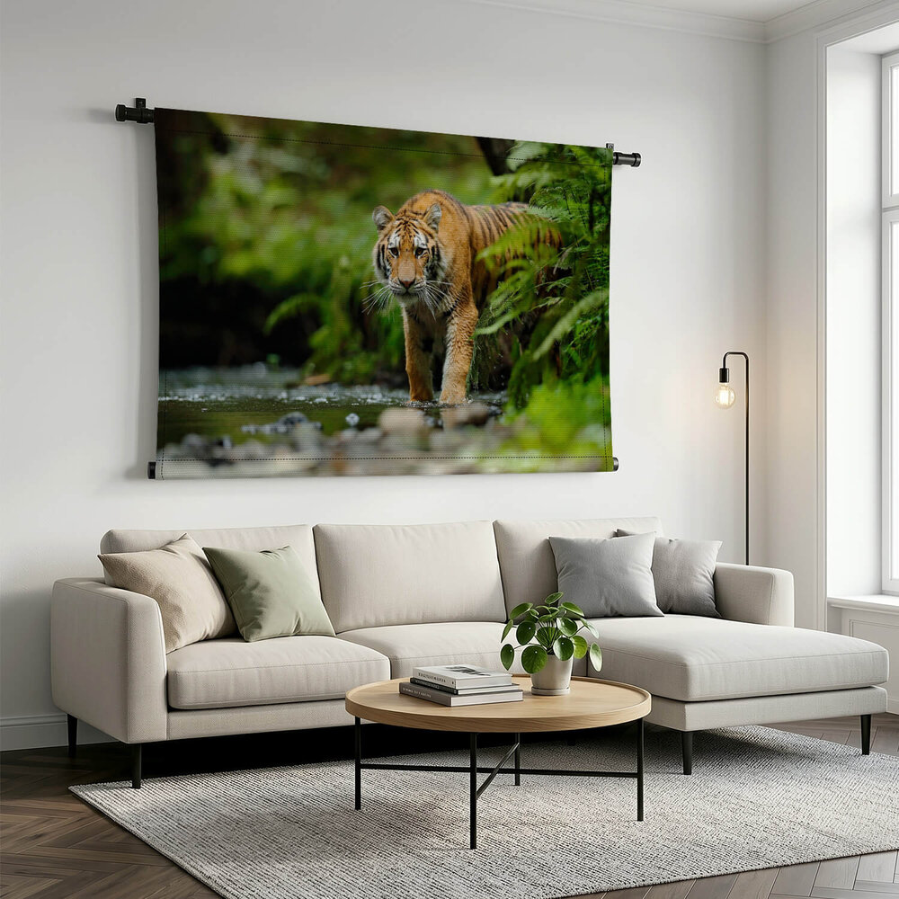 Amoertijger lopend in rivierwater