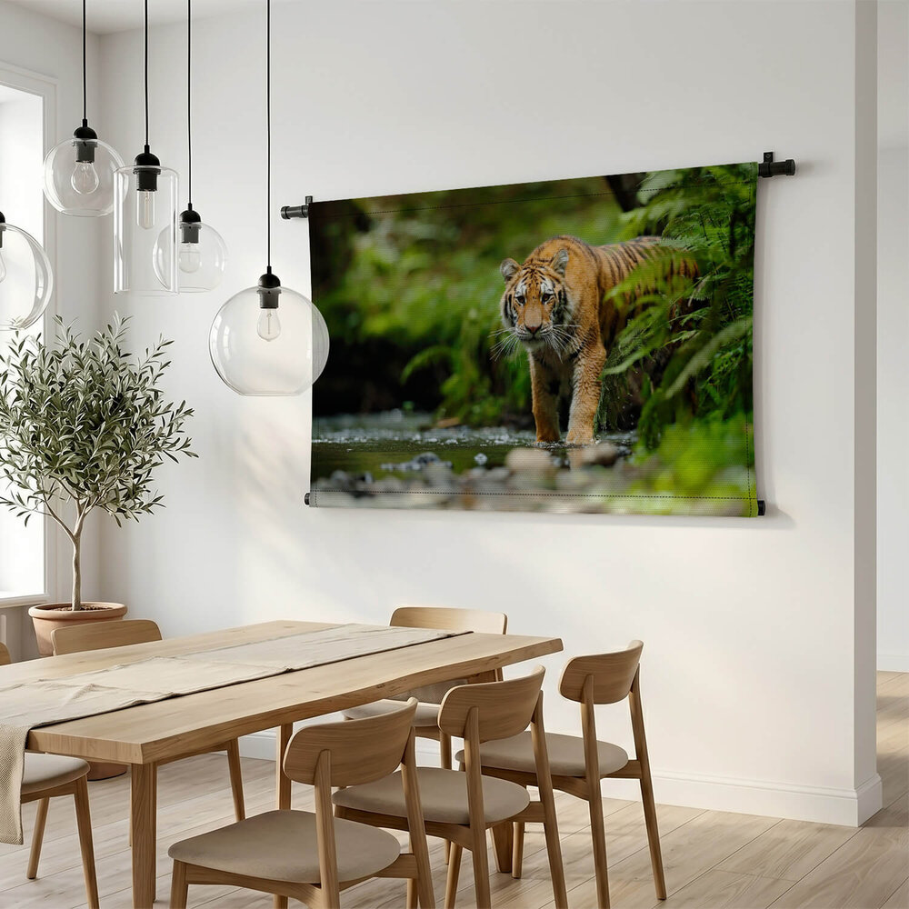 Amoertijger lopend in rivierwater