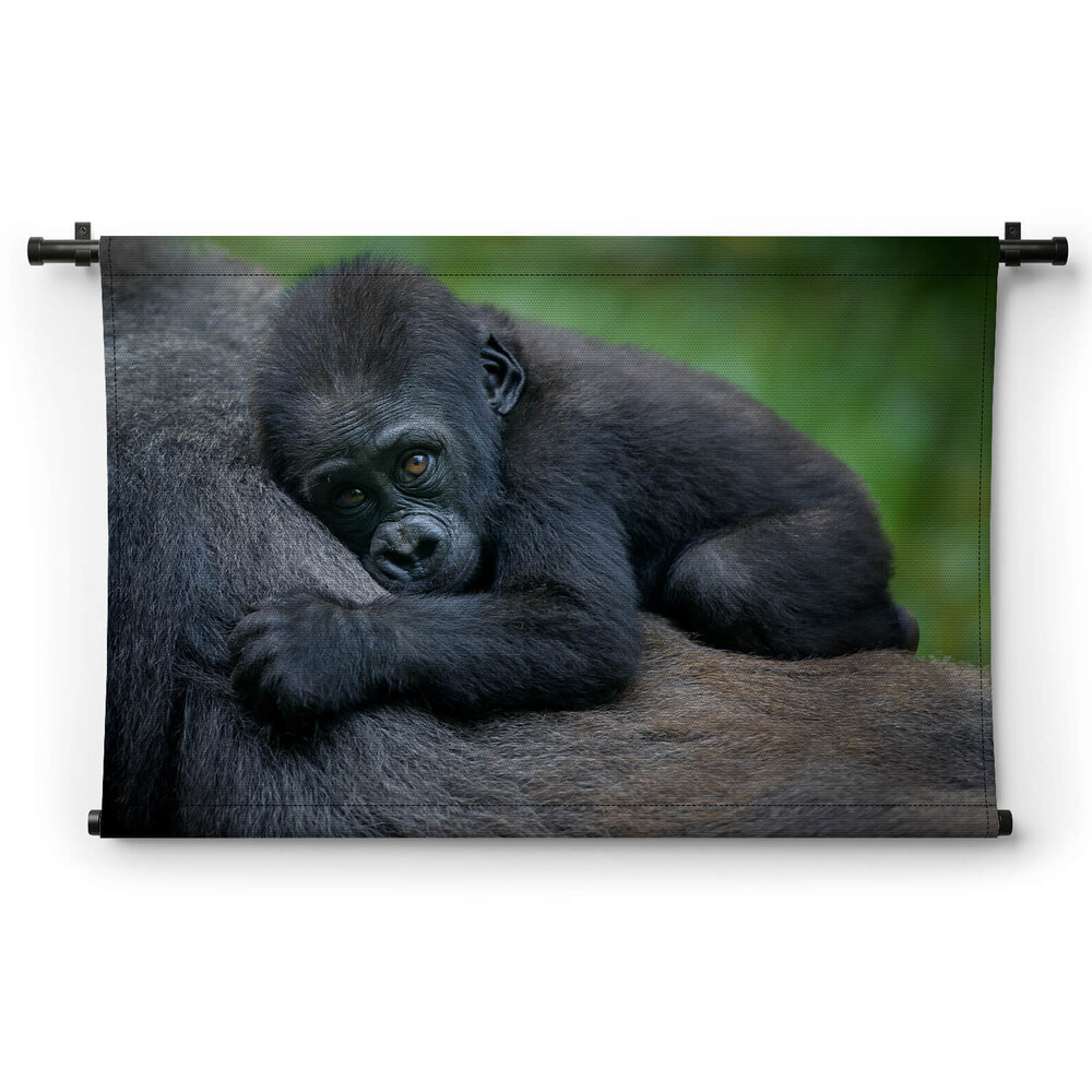 Jonge chimpansee liggend op de buik