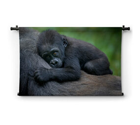 Jonge chimpansee liggend op de buik