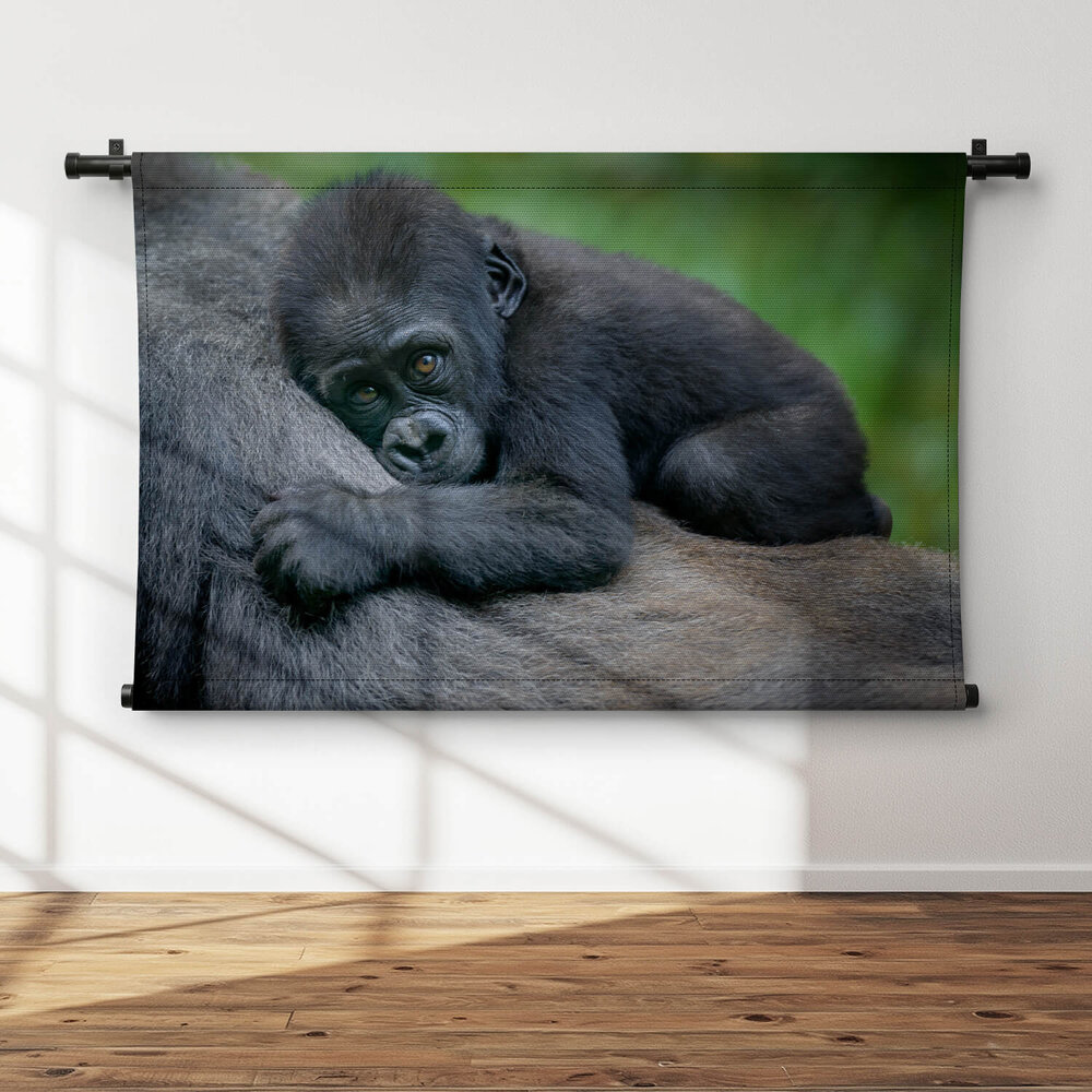 Jonge chimpansee liggend op de buik