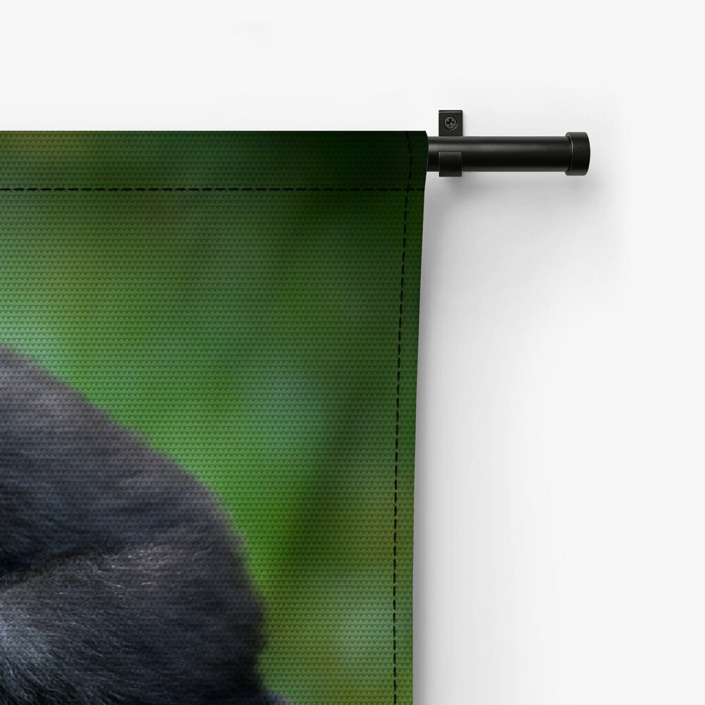 Jonge chimpansee liggend op de buik