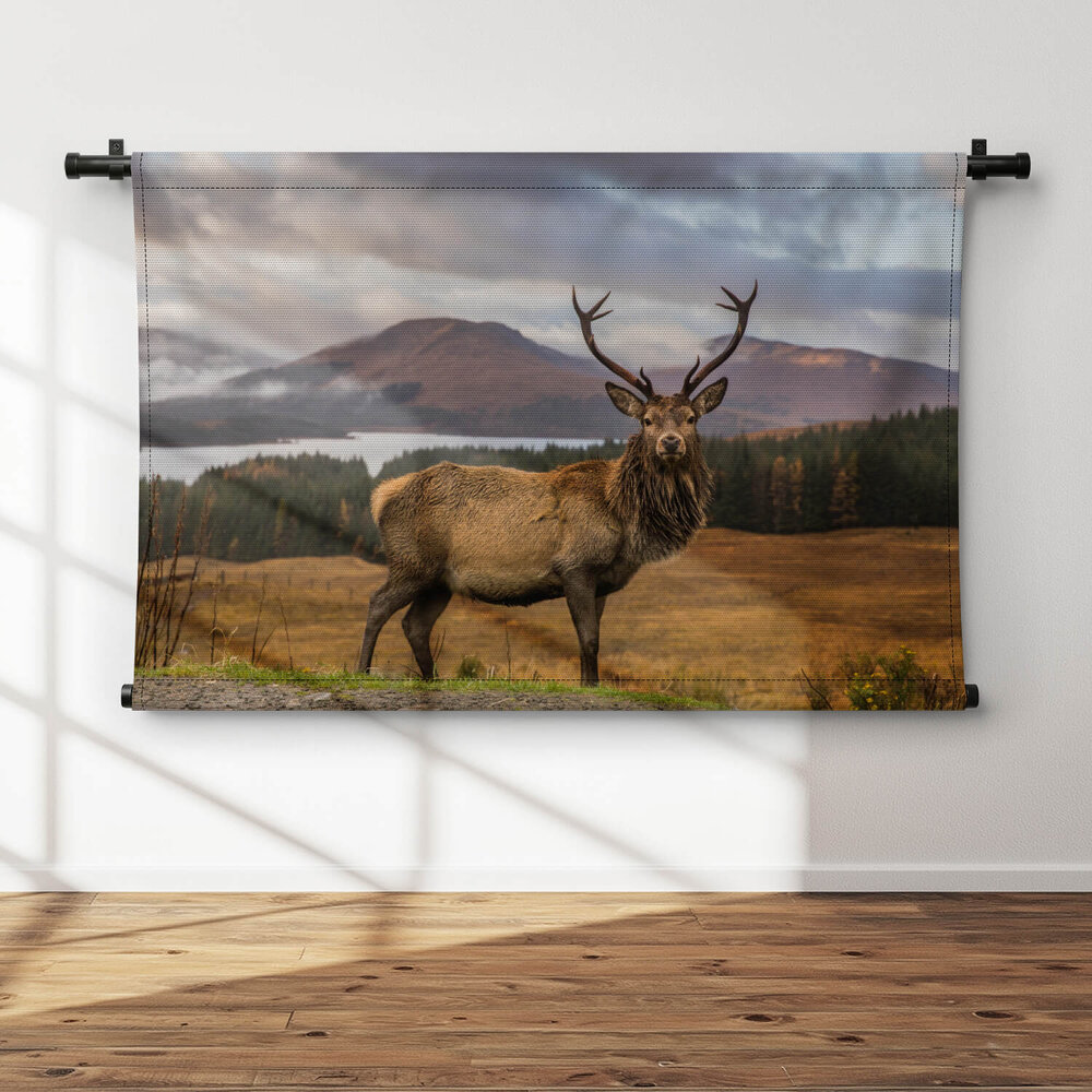 Portret van een wild Schots hert