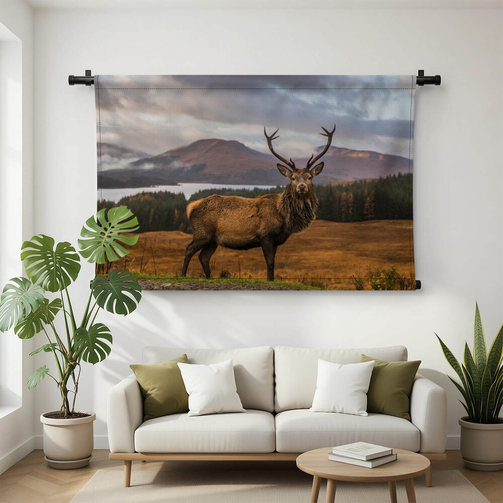 Portret van een wild Schots hert