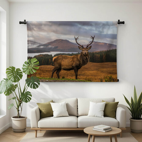 Portret van een wild Schots hert