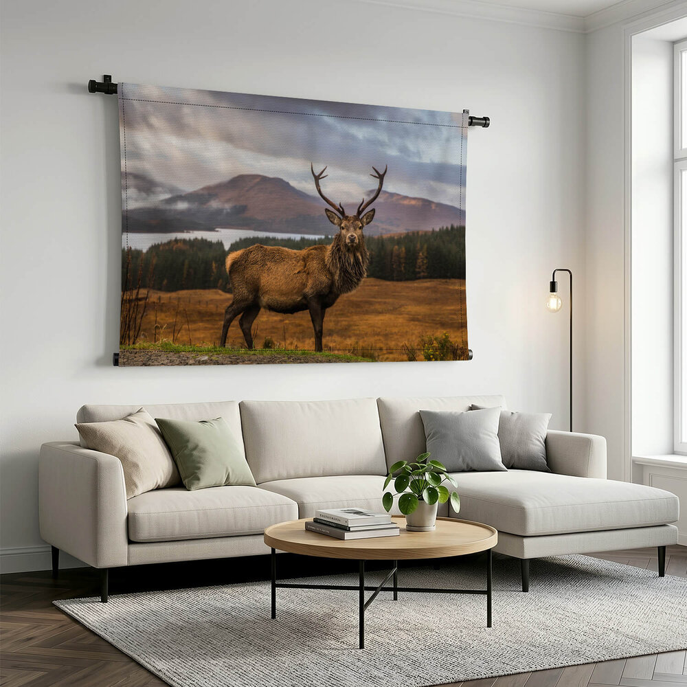 Portret van een wild Schots hert