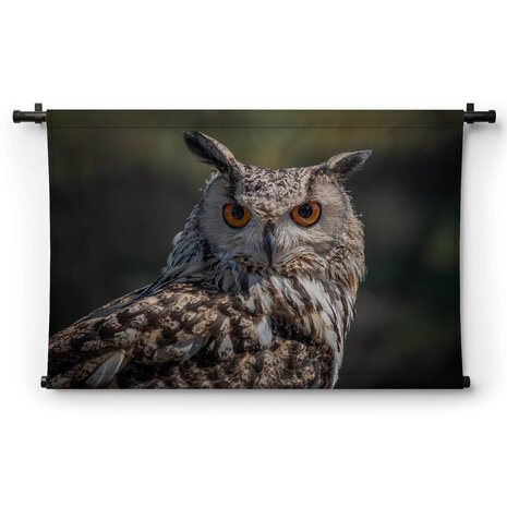 Oog-in-oog met prachtige uil