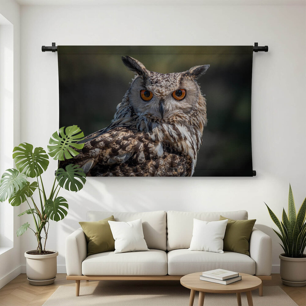 Oog-in-oog met prachtige uil